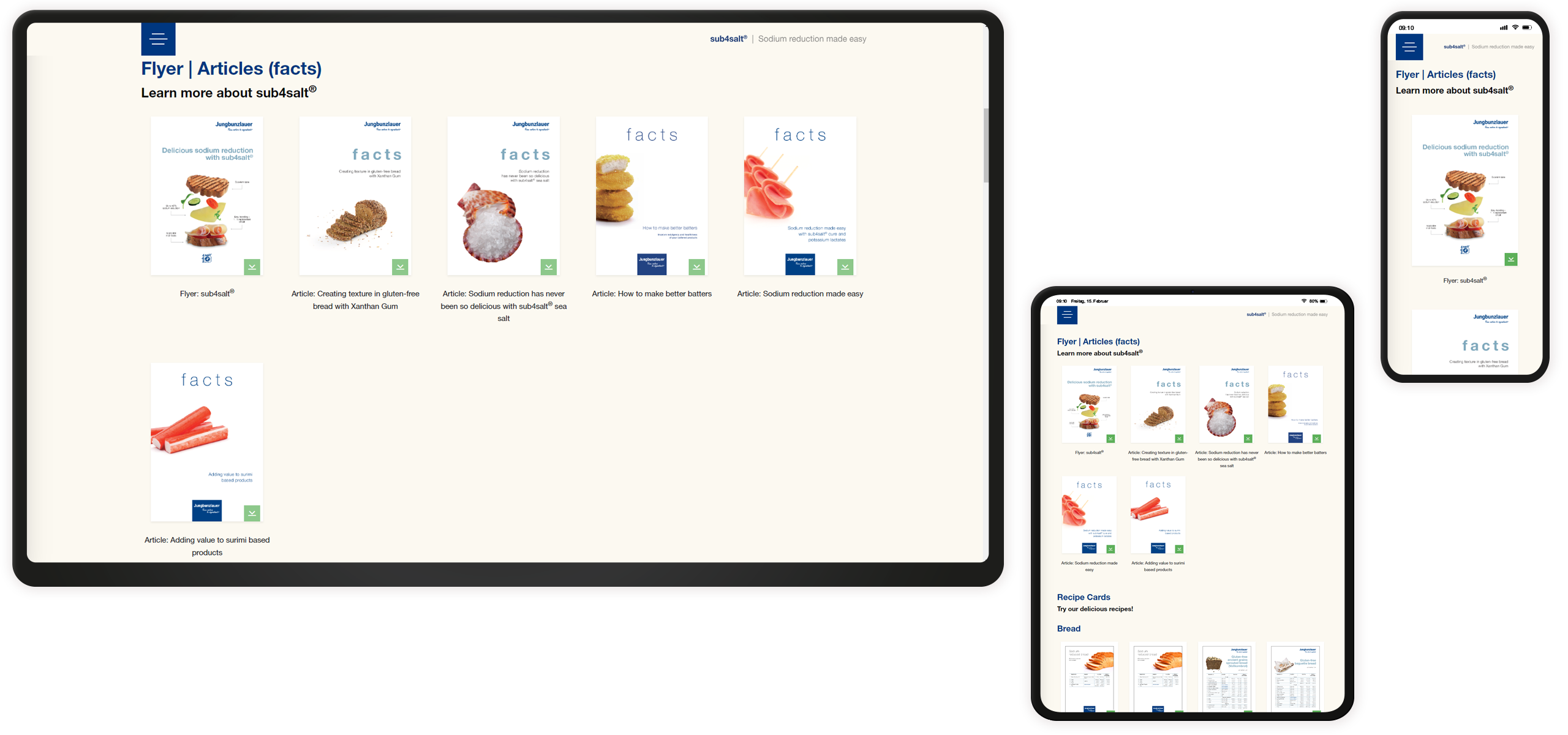 Bildmontage sub4salt Responsive Overview Downloads