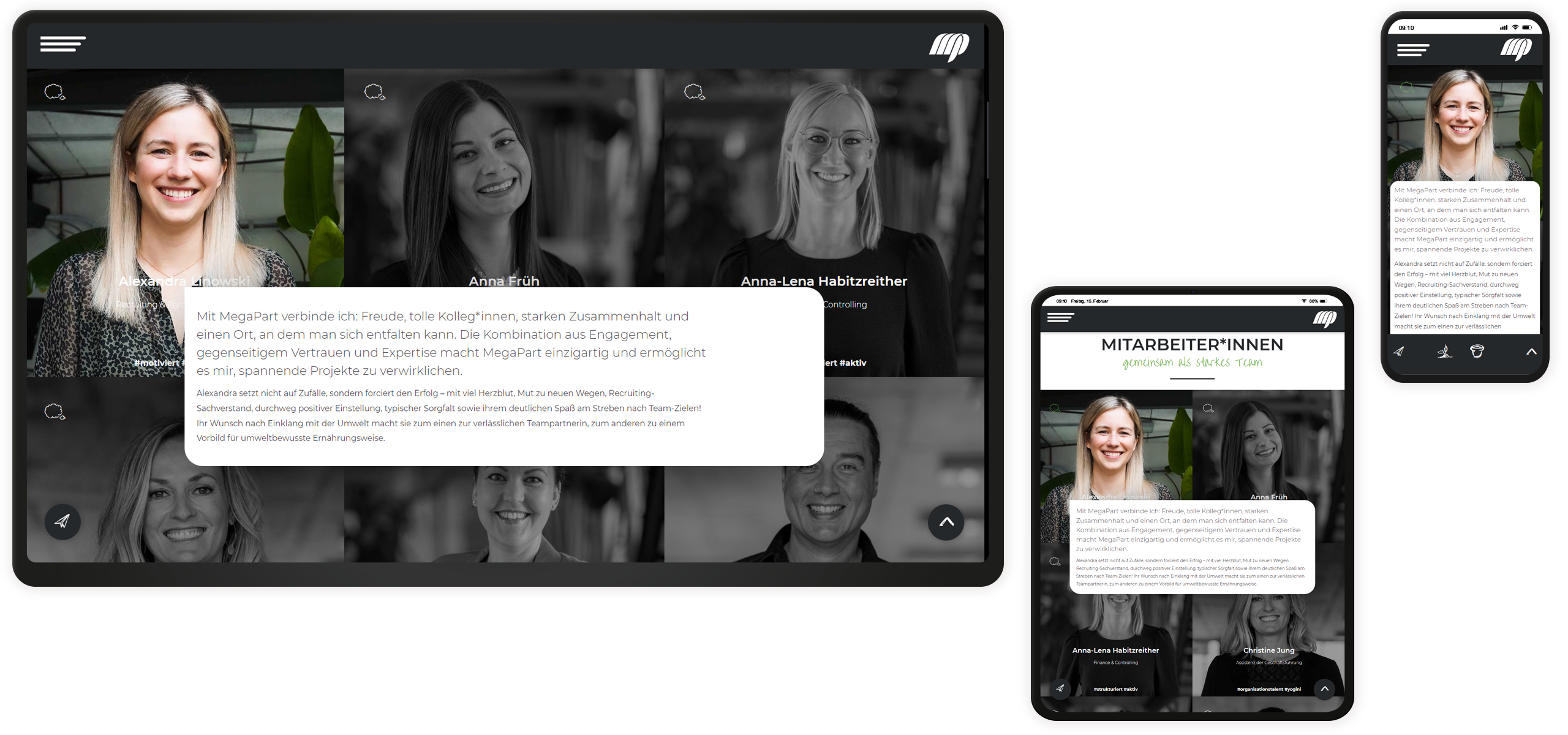 Mockup MegaPart-Website: Team