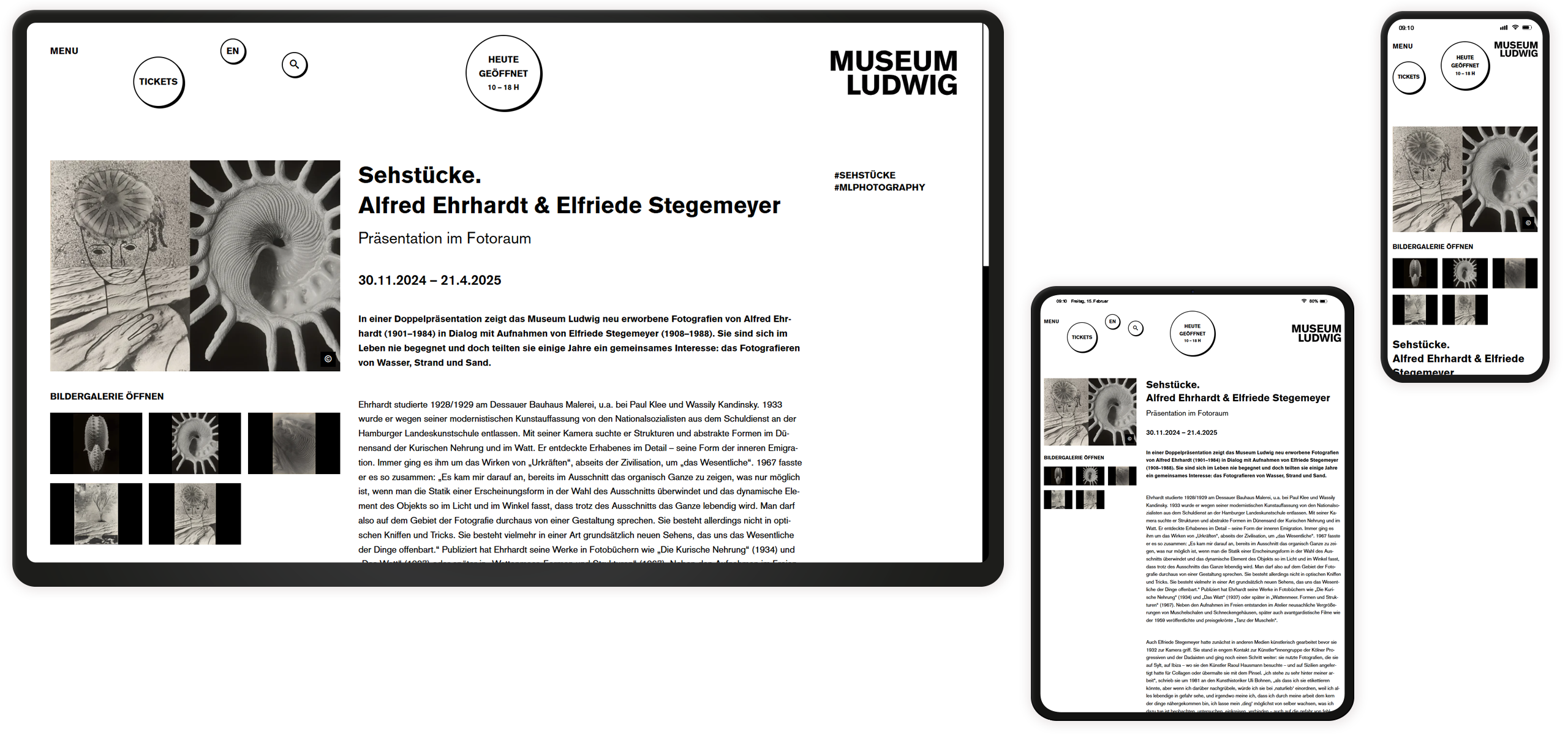 Mockup Museum Ludwig: Ausstellungsseite
