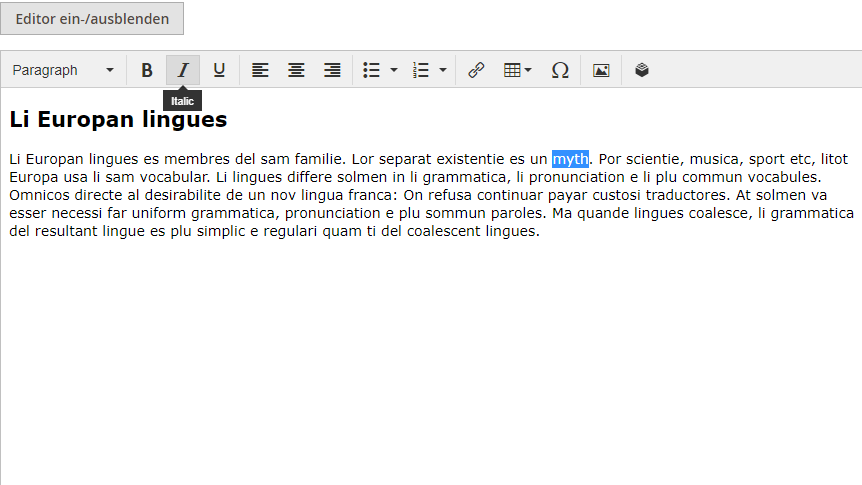  Magento Backend WYSIWYG-Editor