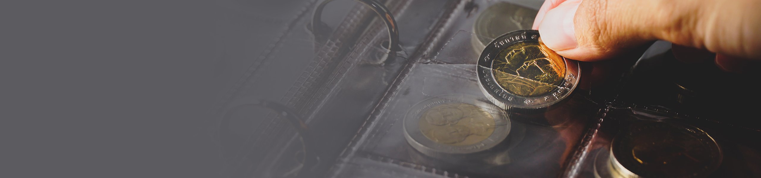 Eine Münze wird in ein Sammelalbum gelegt