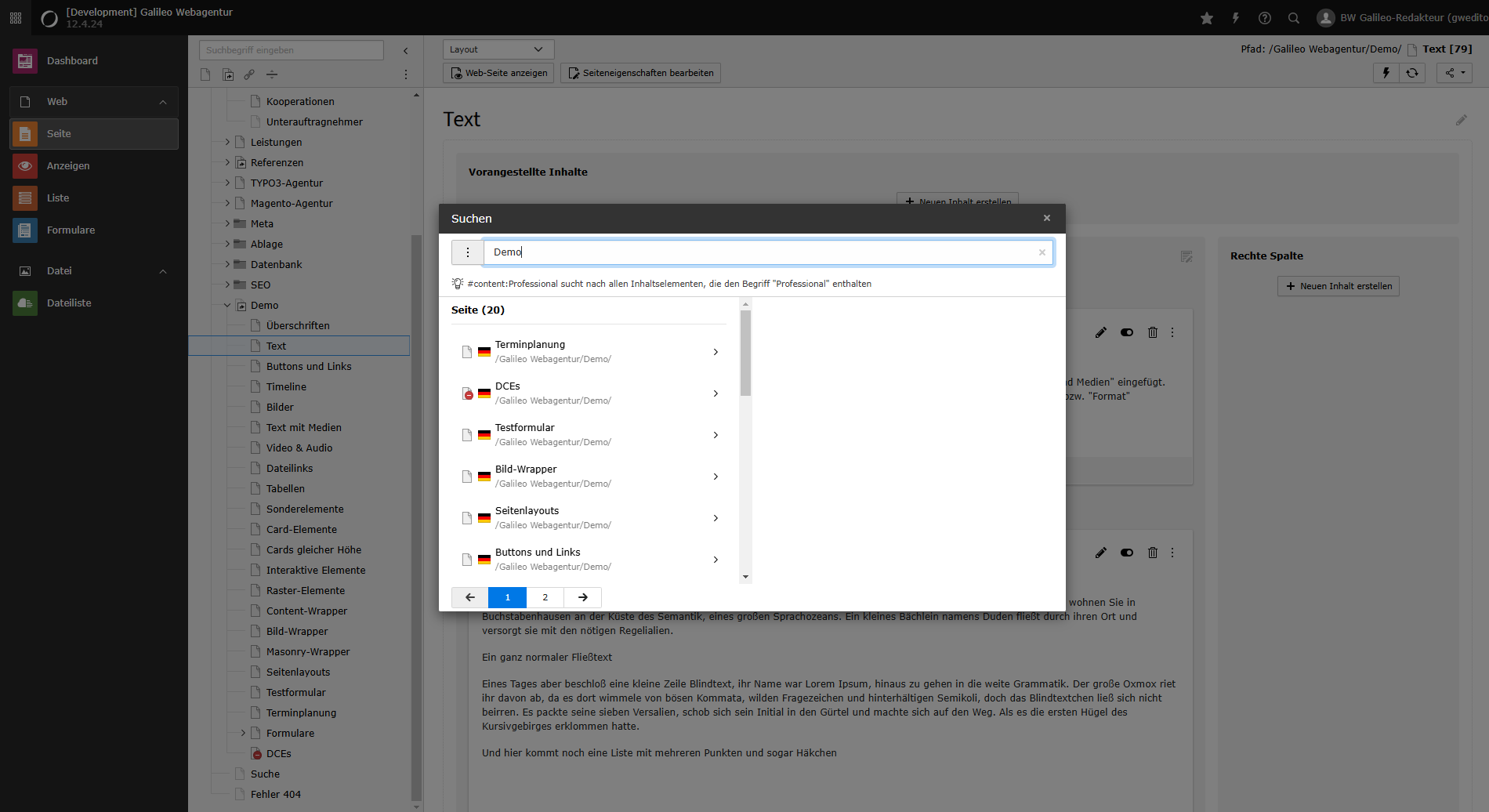 Screenshot TYPO3 Suchfunktion