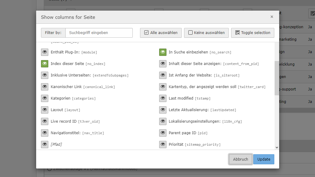 Screenshot der Listenansicht im TYPO3-Backend