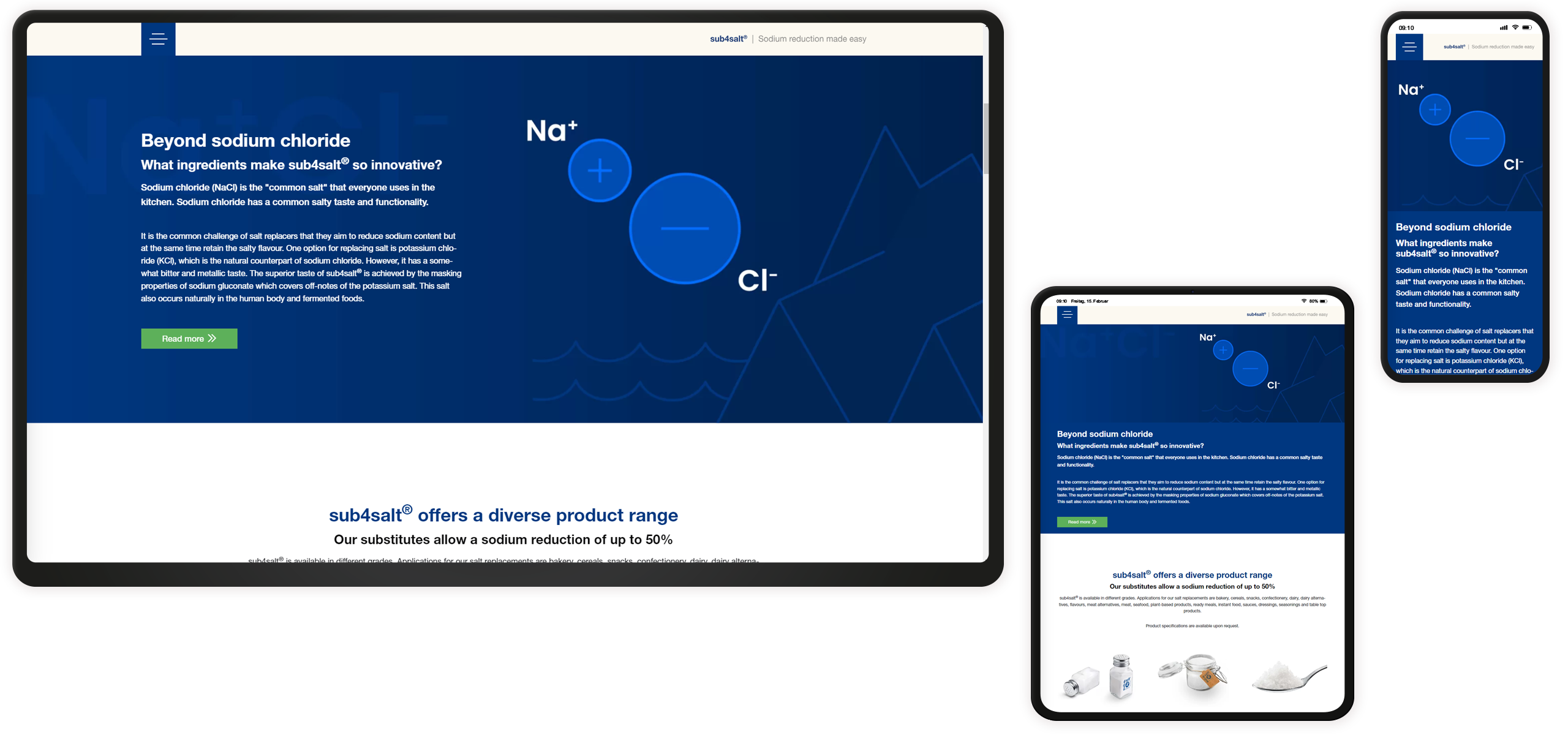 Bildmontage sub4salt Responsive Overview NaCl Illustration