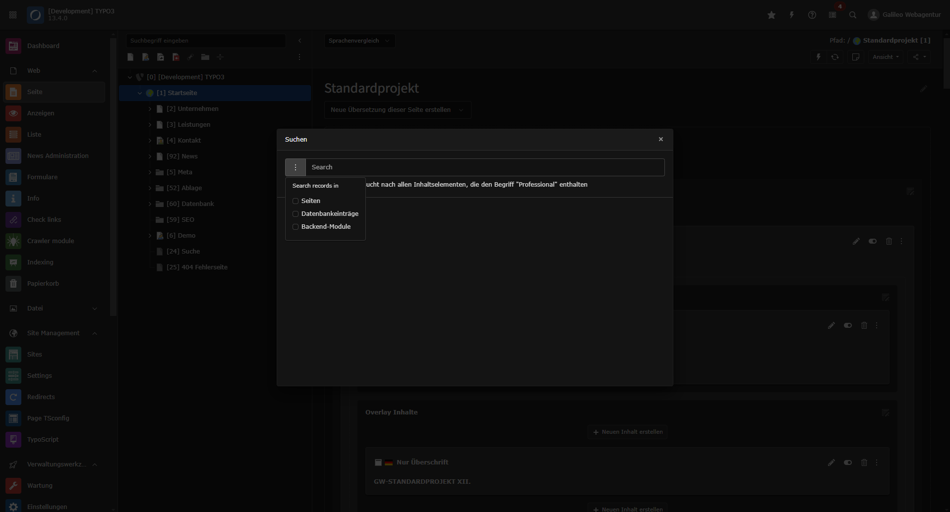 Screenshot der neuen Suchfunktion von TYPO3 13