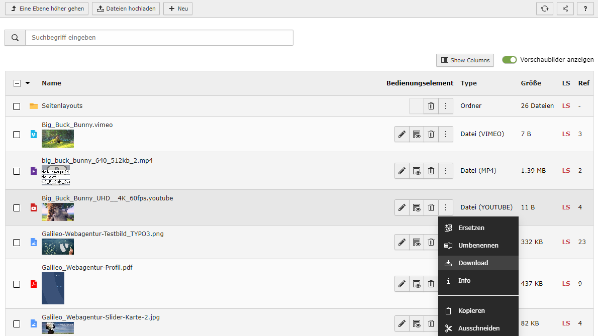 Screenshot der Dateiliste im TYPO3-Backend