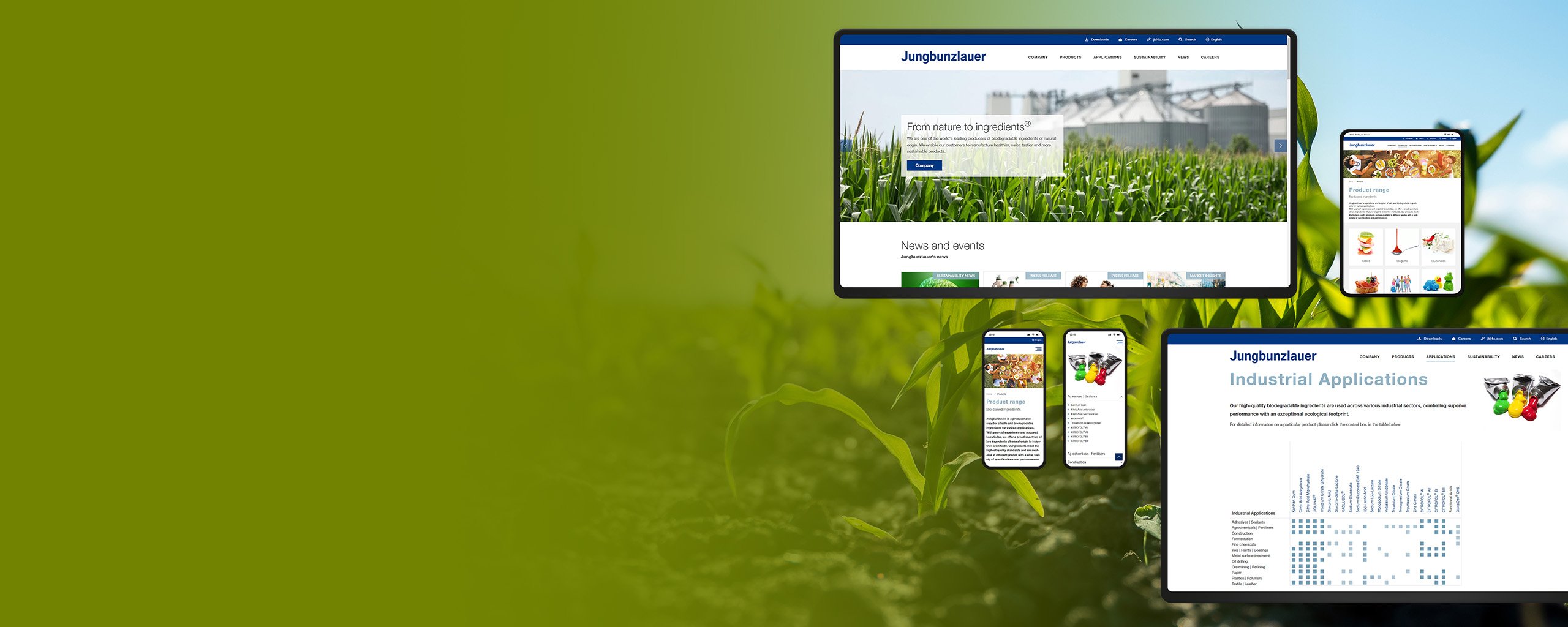 Junge Pflanzen auf einem Feld mit Website-Mockups